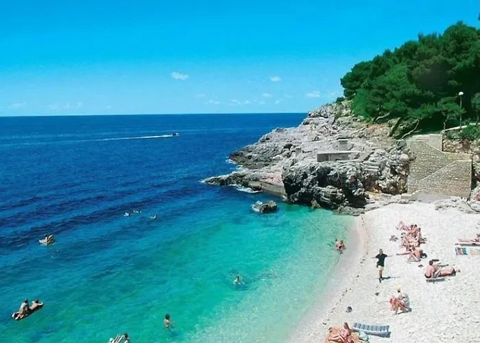 Mimoza Old Town 아파트